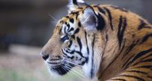 Zoo Atlanta