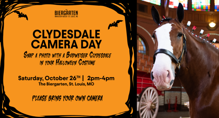 Clydesdale Camera Day