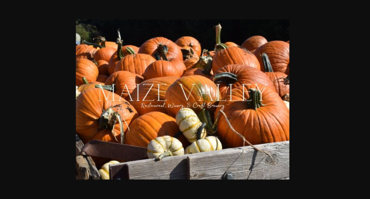 Fall Family Outings!