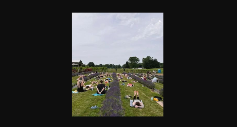 Yoga in the Lavender Field