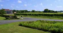 Willow Creek Farm & Winery