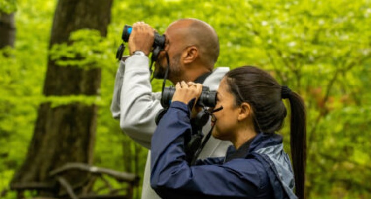 Birding Basics Tour