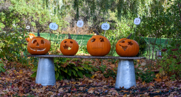 SFHHM Community Pumpkin Carving Contest