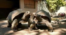 The Charles Paddock Zoo