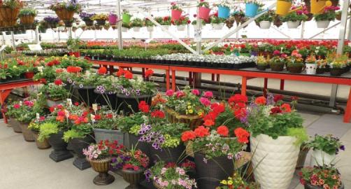 Fisher’s Greenhouse & Garden Center