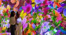ARTECHOUSE New York: Blooming Wonders