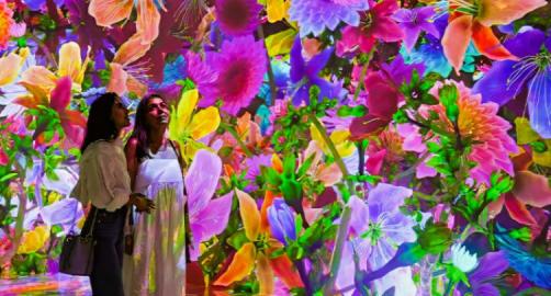 ARTECHOUSE New York: Blooming Wonders