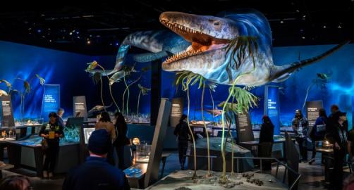 Edelman Fossil Park and Museum of Rowan University