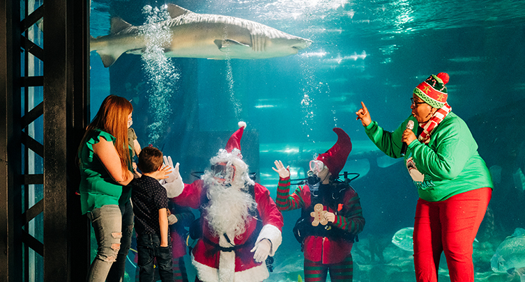 Scuba Claus Merry Meet & Greets @CLEAquarium