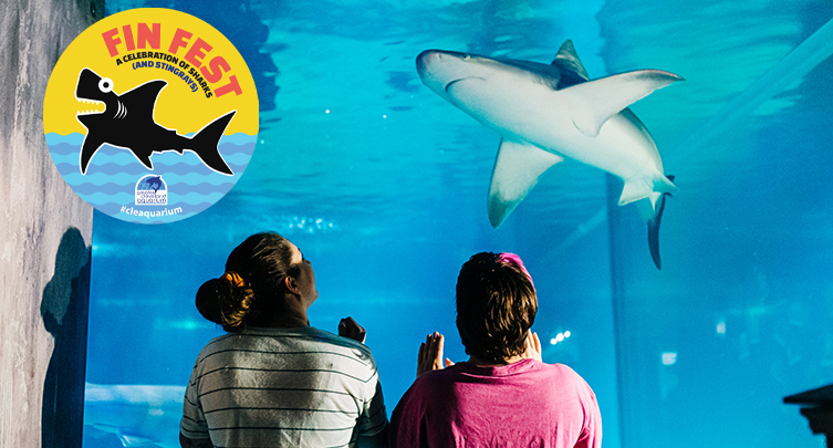 Fin Fest @CLEAquarium