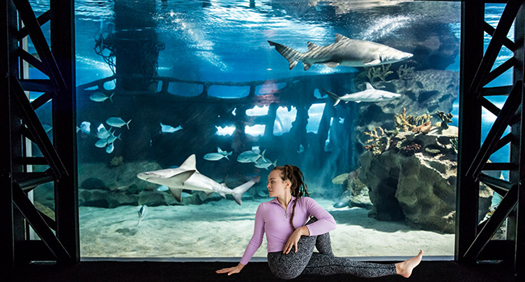Bottoms Up! Yoga (& Sharks) @CLEAquarium